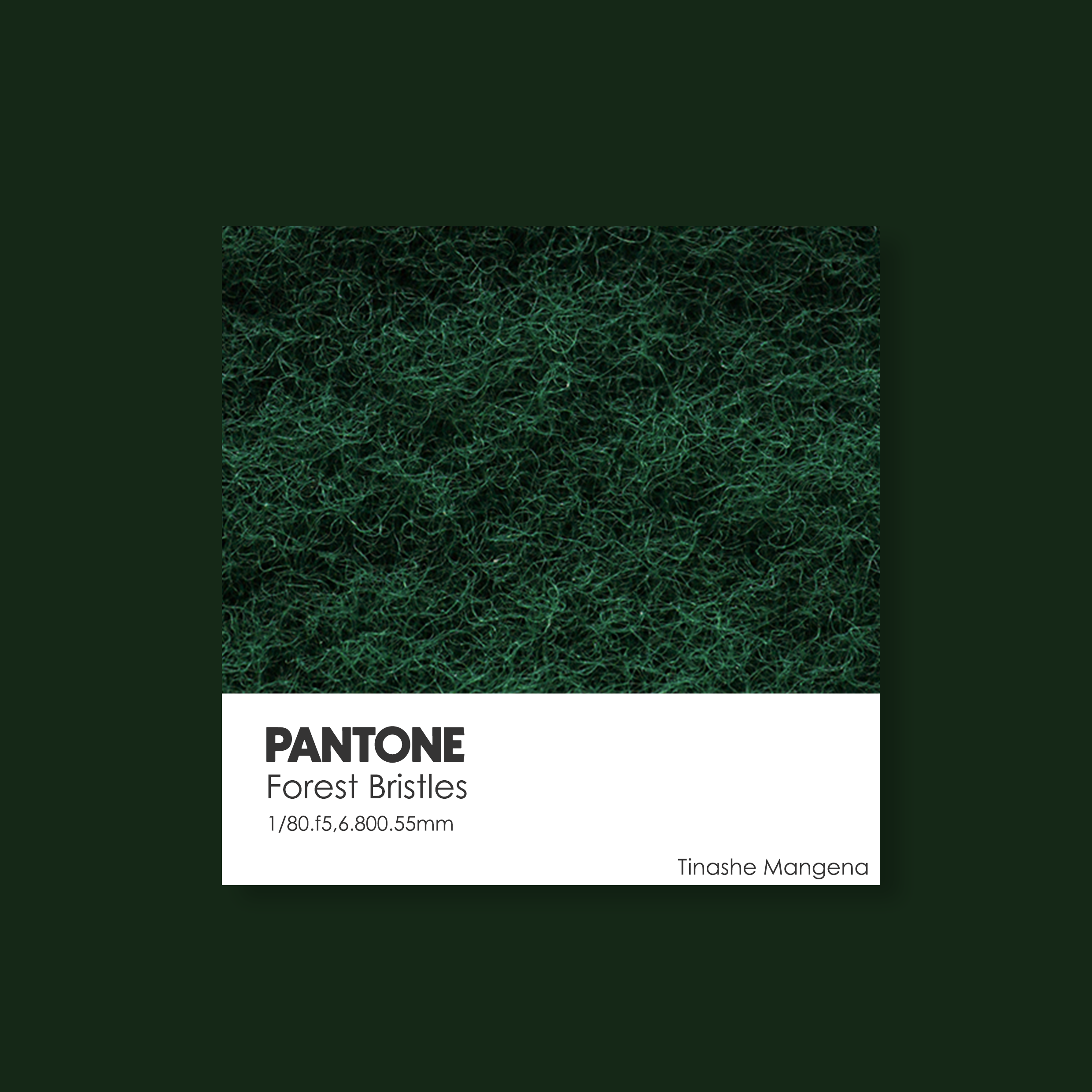 Pantone image